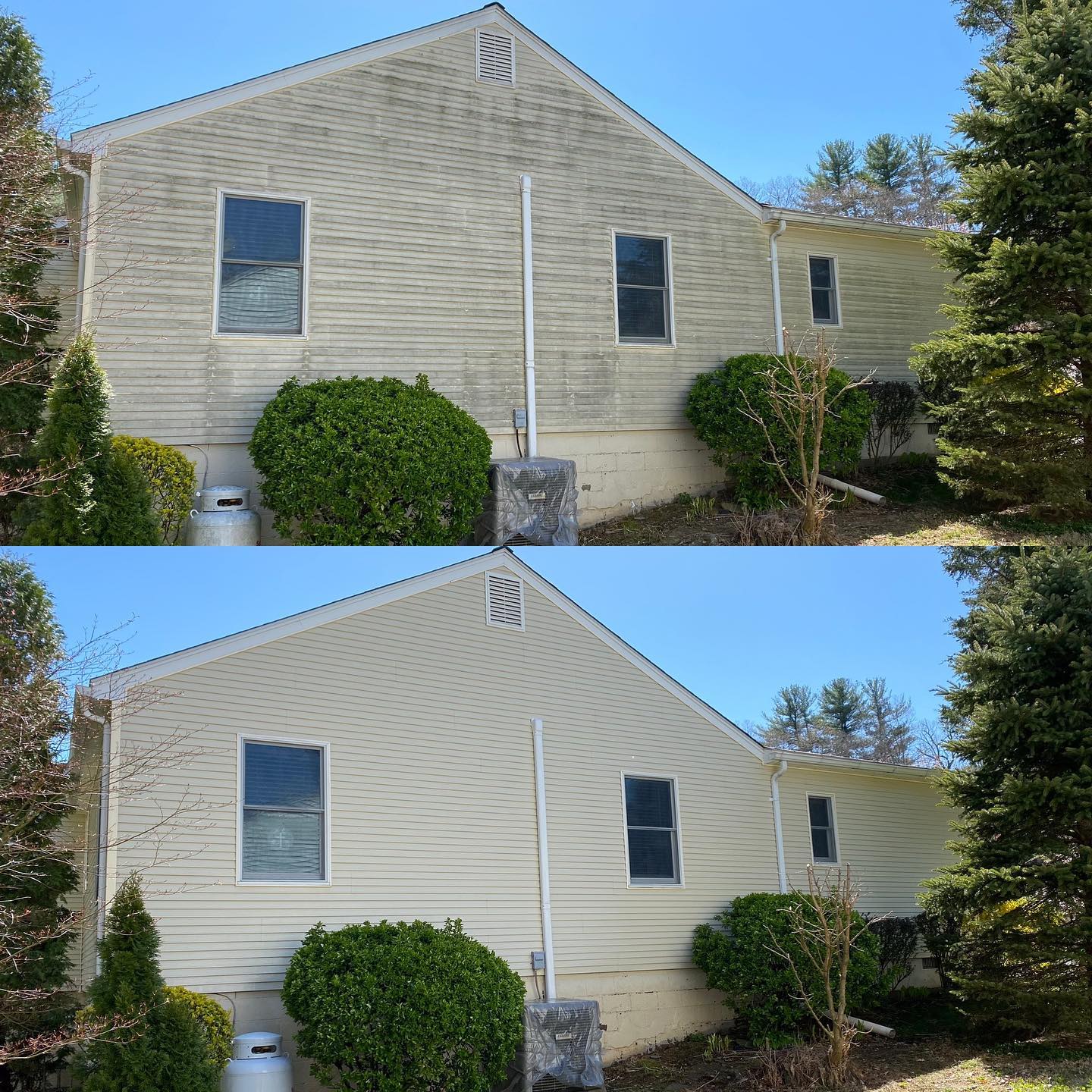 Before and after image of Bright Solutions ProWash soft washing algae-covered siding on a residential home in Hudson Valley, NY.